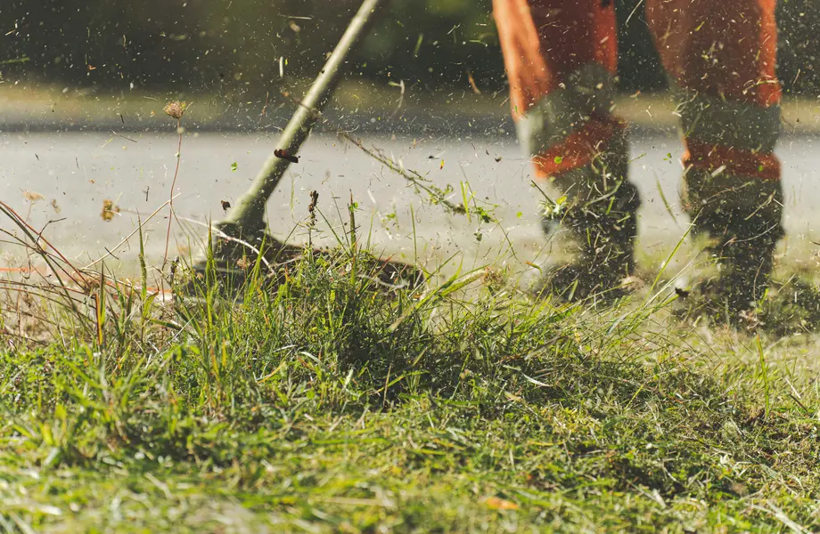 String trimmer detailing grass beside a paved edge