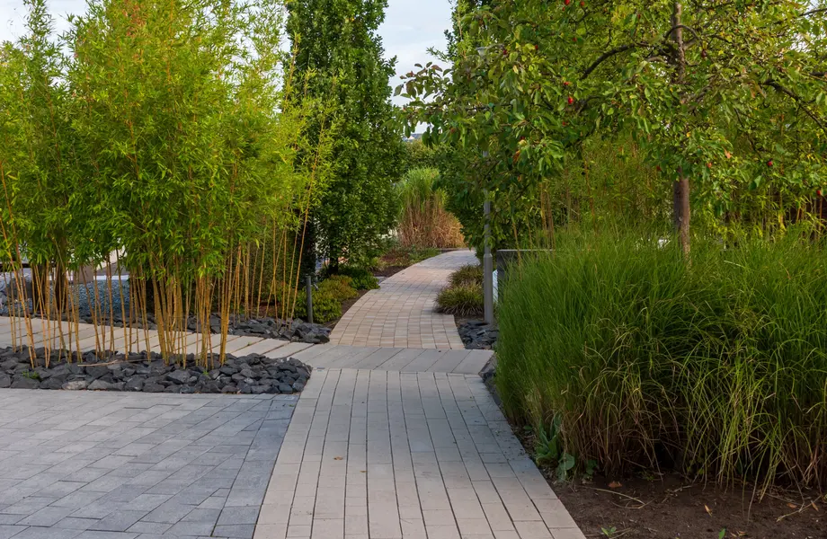 Landscaped walkway bordered by ornamental trees and grasses